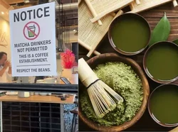 Viral! Di Kafe Ini Tidak Boleh Ada Matcha Demi Hargai Biji Kopi