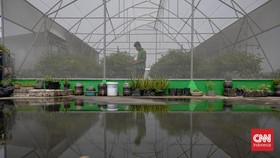 FOTO: Melihat Green House di Atas Pasar Mayestik