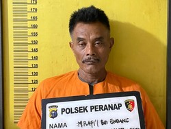 Pembakar Istri di Indragiri Hulu Ditangkap, Hampir Sepekan Sembunyi di Hutan