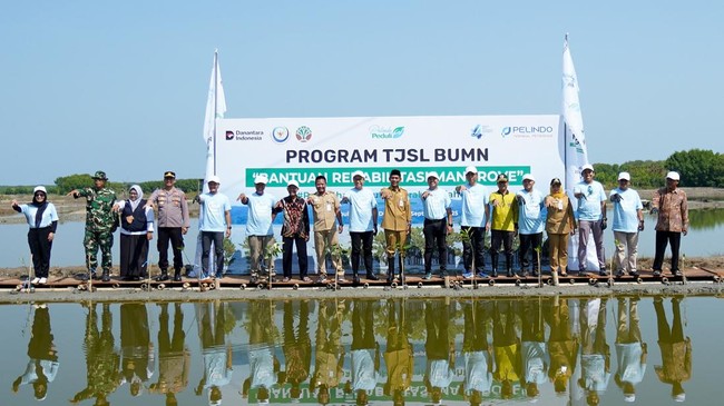 PT Pelindo Terminal Petikemas menanam 50 ribu bibit mangrove di Demak, Jateng untuk rehabilitasi ekosistem pesisir dan mendukung program Mageri Segoro.