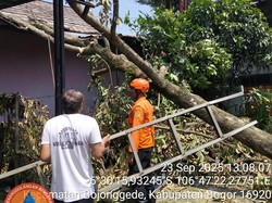 75 Rumah Warga Bojonggede Bogor Rusak Imbas Pohon Tumbang-Angin Kencang