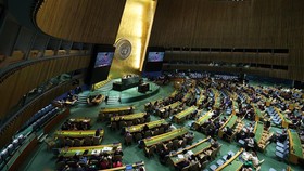 Negara Pasifik Pro Papua Merdeka Tapi Tolak Akui Palestina, Kenapa?