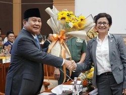Nurul Arifin Puji Pidato Prabowo di KTT Palestina PBB: Sikap Negarawan yang Fair