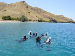 22 Penyelam Kumpulkan Banyak Sampah Plastik dari Bawah Laut TN Komodo