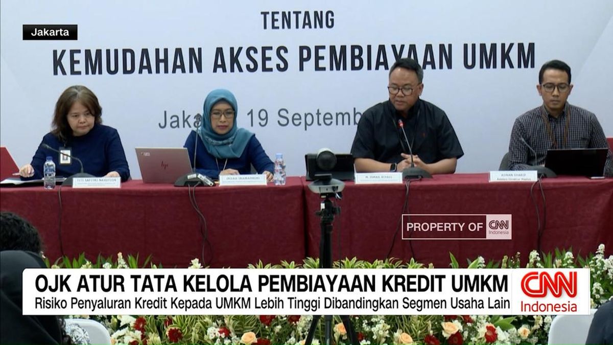 VIDEO: OJK Atur Tata Kelola Pembiayaan Kredit UMKM