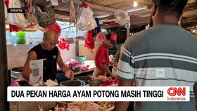 VIDEO: Dua Pekan Harga Ayam Potong Masih Tinggi