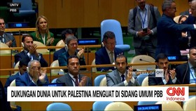 VIDEO: Dukungan Dunia untuk Palestina Menguat di Sidang Umum PBB
