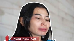 Video: Rumah Singgah Butuh Biaya Ekstra untuk Rawat 700 Kucing