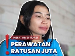 Video: Rumah Singgah Butuh Biaya Ekstra untuk Rawat 700 Kucing