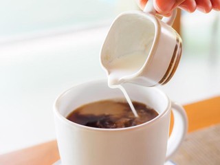 Mau Mulai Usaha Minuman atau Dessert? Ini Cara Pilih Krimer Bubuk Skala Besar