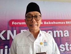 Bagaimana Nasib PNS Jika Kementerian BUMN dan Danantara Digabung?