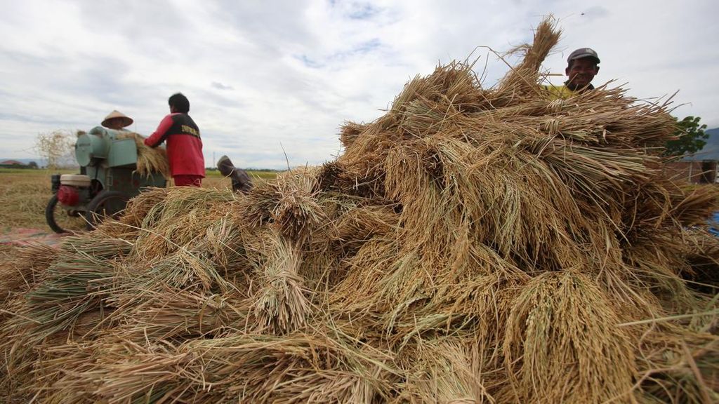 Swasembada Pangan Jadi Jalan Kebangkitan Pertanian Indonesia