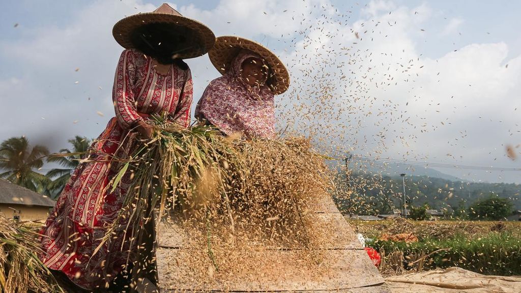 FAO Ungkap Harga Pangan Global Naik 2,4 Persen Imbas Konflik Timteng