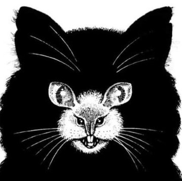 Tes Kepribadian: Kucing atau Tikus yang Pertama Kali Kamu Lihat? Ini Artinya