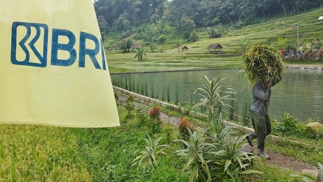 BRI mendukung sektor pertanian Indonesia dengan pembiayaan, pemberdayaan, dan digitalisasi, Kontribusi pertanian terhadap PDB mencapai 13,83% pada 2025.