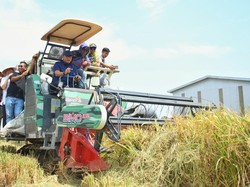 Petani Ungkap Fakta ke Sudaryono, Baru di Era Prabowo Panen Padi Dua Kali