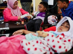 Wamensesneg Yakin Prabowo Sudah Tahu Kasus Ribuan Siswa Keracunan MBG