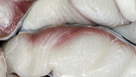 daging ikan hiu