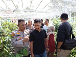 Tabung Harmoni Hijau Polda Riau Jadi Tempat Pembibitan Pohon hingga Ternak