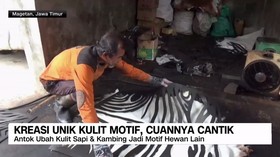 VIDEO: Kulit Sapi Disulap Jadi Motif Macan, Raup Jutaan di Magetan