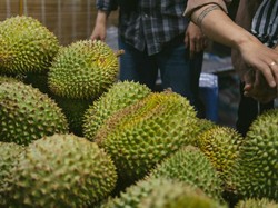 Aroma Raja Buah Bikin Geger Warga Kota Ini, Dikira Kebocoran Gas