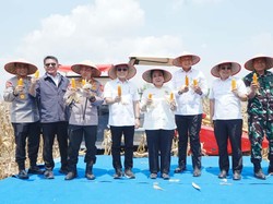 Polri Distribusikan 1.765 Ton Jagung ke Gudang Perum Bulog pada Panen Raya Kuartal III