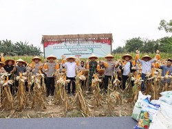Dukung Ketahanan Pangan, Polda Banten Tanam Jagung di Lahan 1.772 Hektare