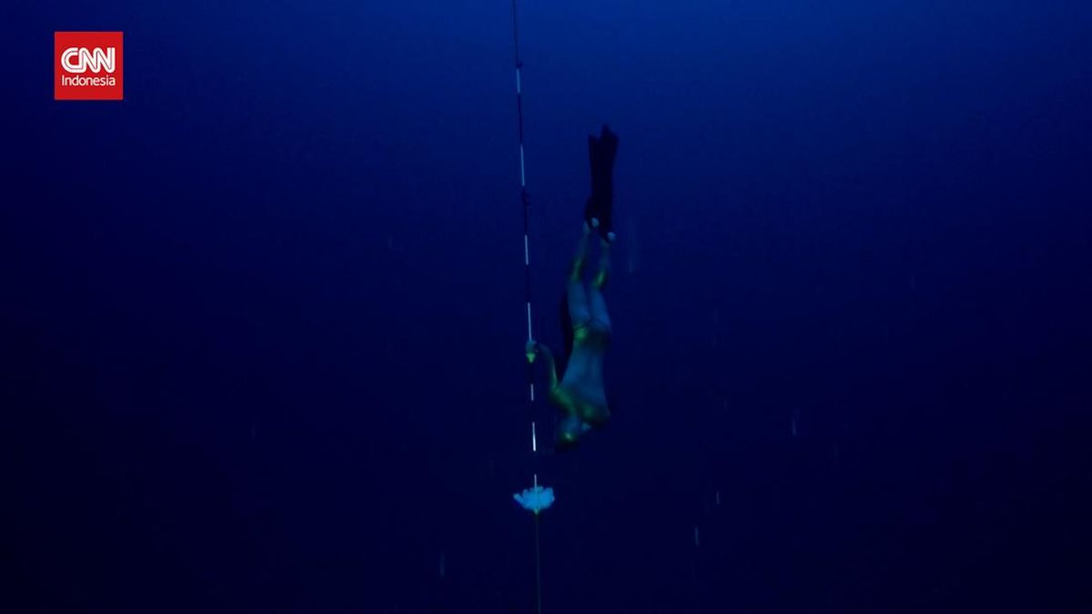 VIDEO: Rekor Dunia Freediving Sedalam 126 M Dicetak Atlet Rusia