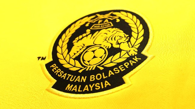 Menteri Pemuda dan Olahraga (Menpora) Malaysia, Hannah Yeoh, mengaku sedih dan marah setelah melihat FIFA menghukum Asosiasi Sepak Bola Malaysia (FAM).