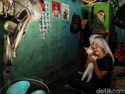 Lampu Harus 24 Jam Menyala di Kampung Tanpa Matahari Jakarta Utara