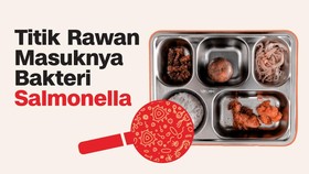 INFOGRAFIS: Ini Jalur Masuk Bakteri Salmonella ke dalam Makanan