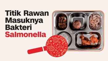 INFOGRAFIS: Ini Jalur Masuk Bakteri Salmonella ke dalam Makanan