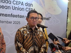 RI Makin Mesra dengan Kanada, Ekspor Ditargetkan Naik 2 Kali Lipat