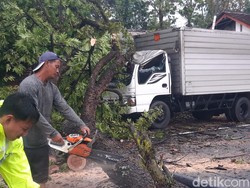 Hujan-Angin Landa Boyolali, Truk Ringsek Tertimpa Pohon