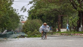 19 Orang Tewas Imbas Topan Dahsyat Bualoi di Vietnam