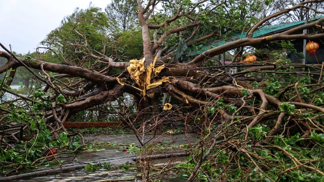 Topan Ganas Bualoi Terjang Vietnam, 11 Orang Tewas & 53 Ribu Mengungsi Topan ganas Bualoi menerjang wilayah pesisir Vietnam menewaskan sedikitnya 11 orang pada Senin (29/9) waktu setempat.