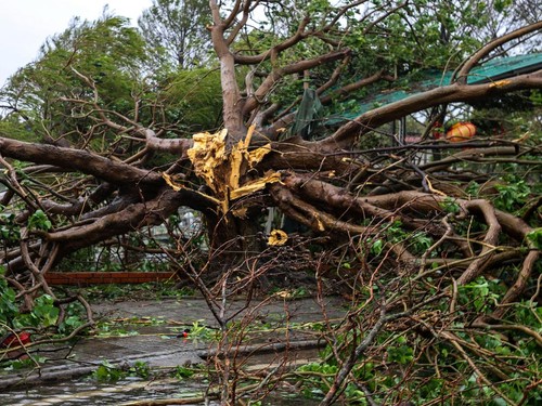 Topan Ganas Bualoi Terjang Vietnam, 11 Orang Tewas & 53 Ribu Mengungsi