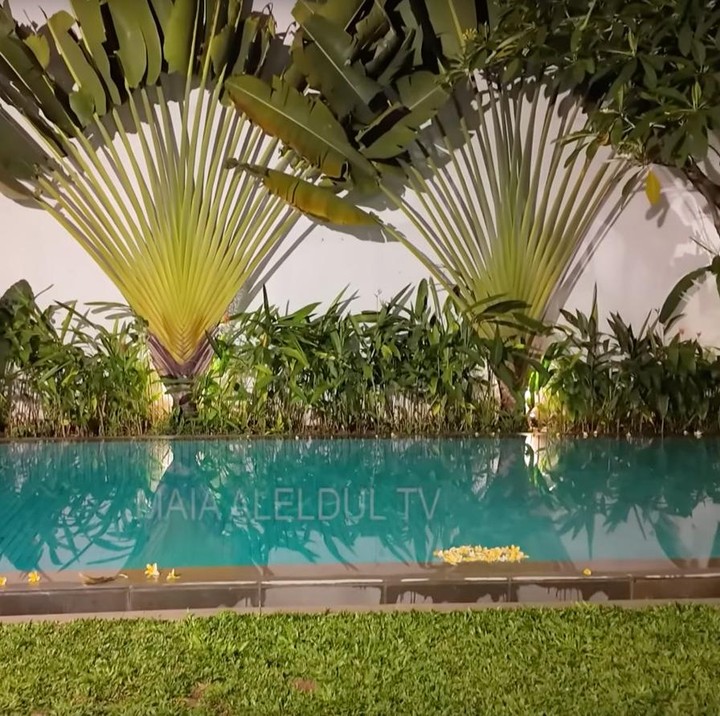 <p>Bergeser ke luar rumah, sebuah kolam renang berbentuk persegi panjang tampil bersih dengan air jernih yang memantulkan cahaya malam. Dinding putih di sekelilingnya pun dipercantik dengan tanaman tropis rimbun, termasuk kehadiran tanaman kipas yang berukuran besar. (Foto: Youtube @maiaaleldultv)</p>