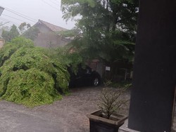 Hujan dan Angin Kencang Terjang OKU hingga 7 Pohon Tumbang-Timpa 1 Mobil