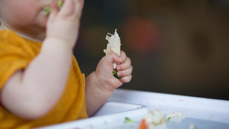 Apa Itu ‘Bayi Karnivora’? Tren Baru yang Dipertanyakan Ahli Gizi