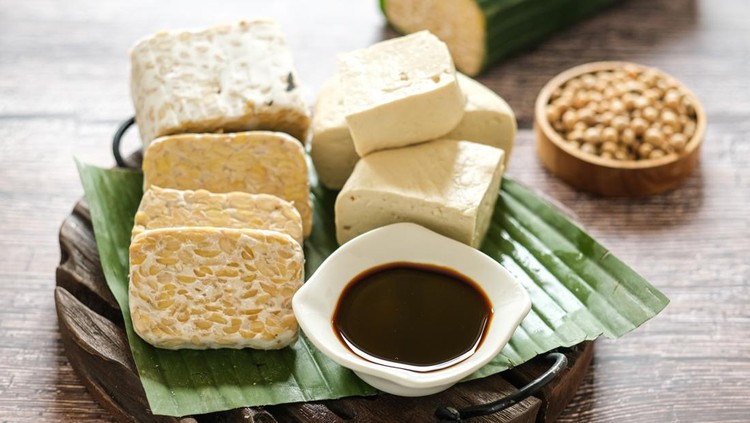Ilustrasi Tahu dan Tempe