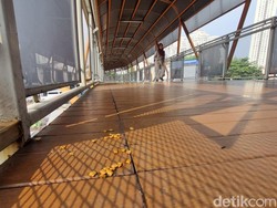 Skywalk Kebayoran Bau Kotoran Kucing, Warga: Jangan Kasih Makanan di Sini
