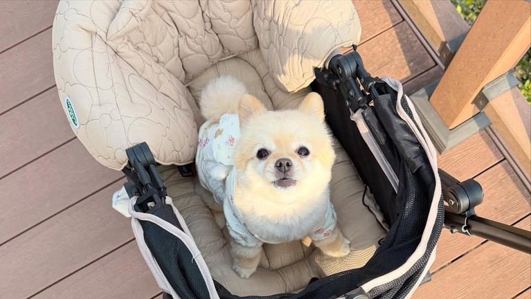 Sabrina Chairunnisa Sabrina Chairunnisa