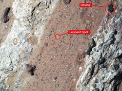NASA Temukan Bukti Baru di Mars, Benarkah Ada Potensi Kehidupan?