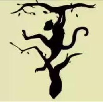 Tes Kepribadian: Gambar Monyet atau Harimau yang Pertama  Kamu Lihat? Ini Artinya!