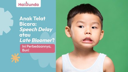 Detik Network
