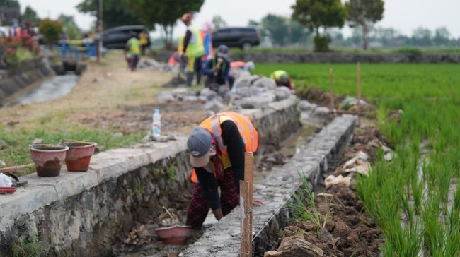 KemenPU percepat Program P3TGAI 2025 untuk ketahanan pangan, Dengan 8.000 lokasi, program ini serap 65.424 tenaga kerja dan tingkatkan infrastruktur irigasi.