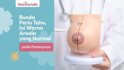 Detik Network