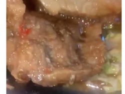 Heboh Menu Daging Sapi MBG Berulat di MIN Kota Bima