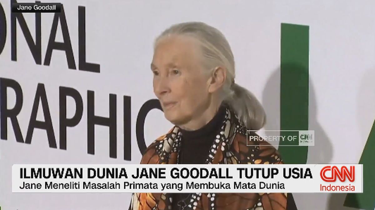 VIDEO: Ilmuwan Dunia Jane Goodall Tutup Usia